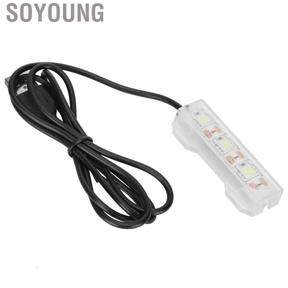 Đèn Chiếu Sáng Bể Cá Sạc Usb Tiện Dụng