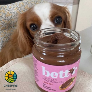 Bơ phết cacao hạt phỉ hữu cơ Bett'r 250Gr