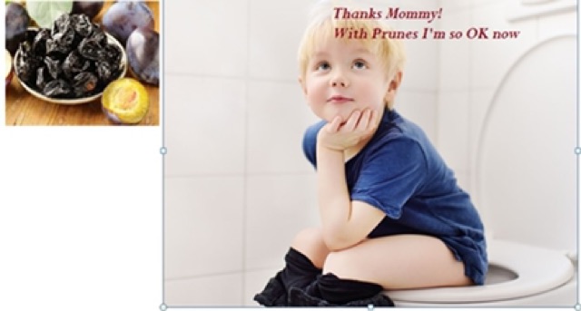 MẬN KHÔ TỰ NHIÊN HẢO HẠNG D’AGEN 500g