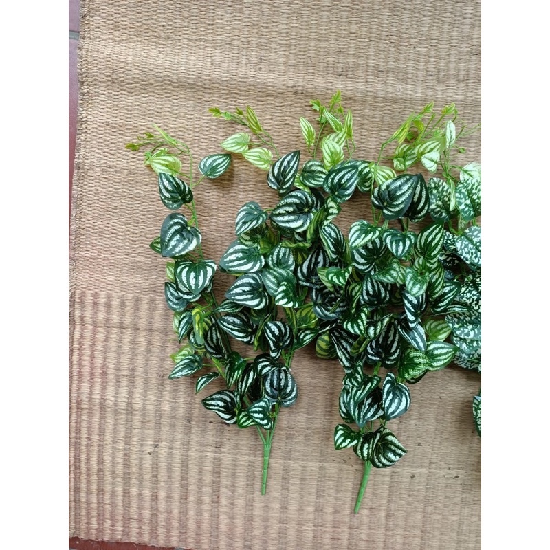 Cụm cành trầu bà chuyên dùng trang trí tường và ngoài vườn giống thật 99%