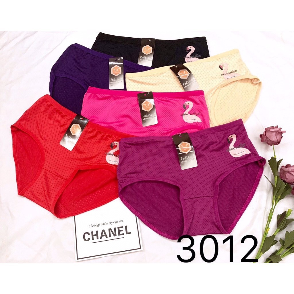 Quần lót cotton thông hơi set 10 chiếc cho phái đẹp