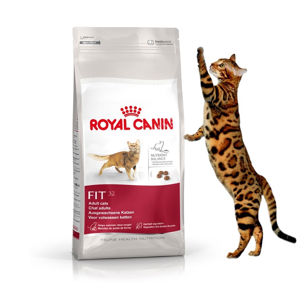 hạt royal canin fit32 túi 2kg