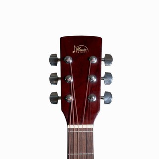 Đàn Acoustic Guitar D100
