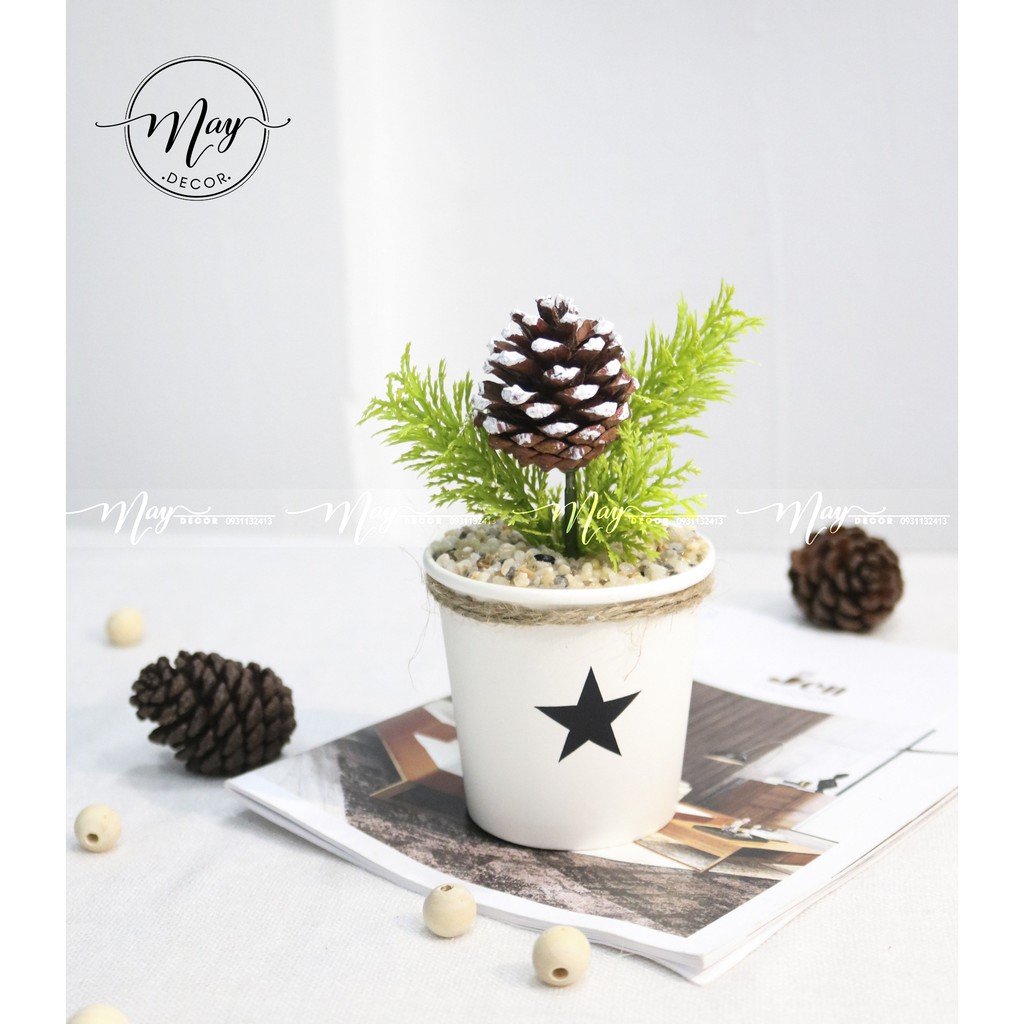 Cây giả, chậu cây mini xinh xắn chậu giấy