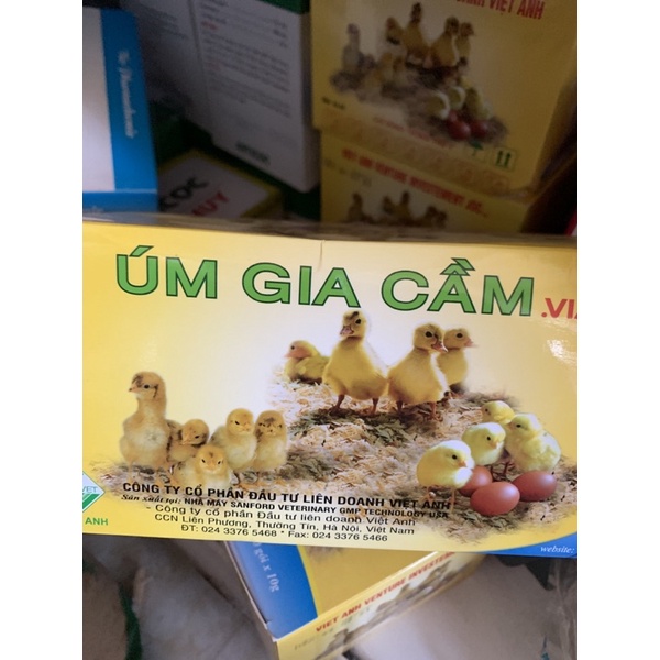 10g ÚM GIA CẦM - dạng bột dùng tốt cho gà, vịt, ngan, ngỗng, cút con