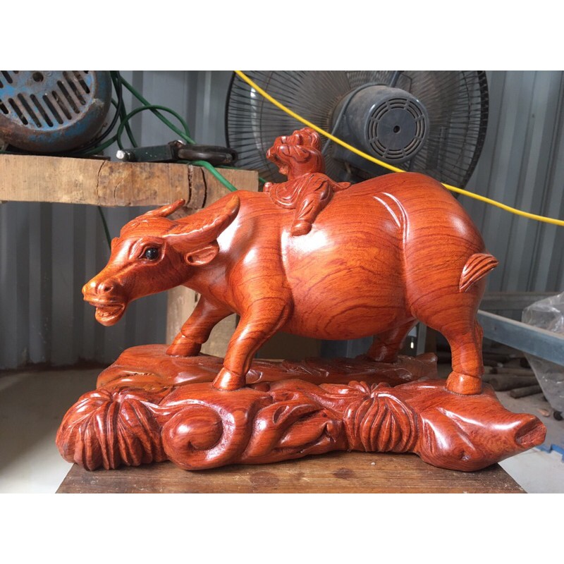 trâu gỗ hương