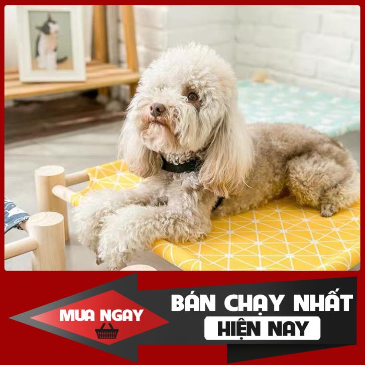 FREESHIP ĐƠN 50K _ Giường ngủ cao cấp dành cho chó mèo