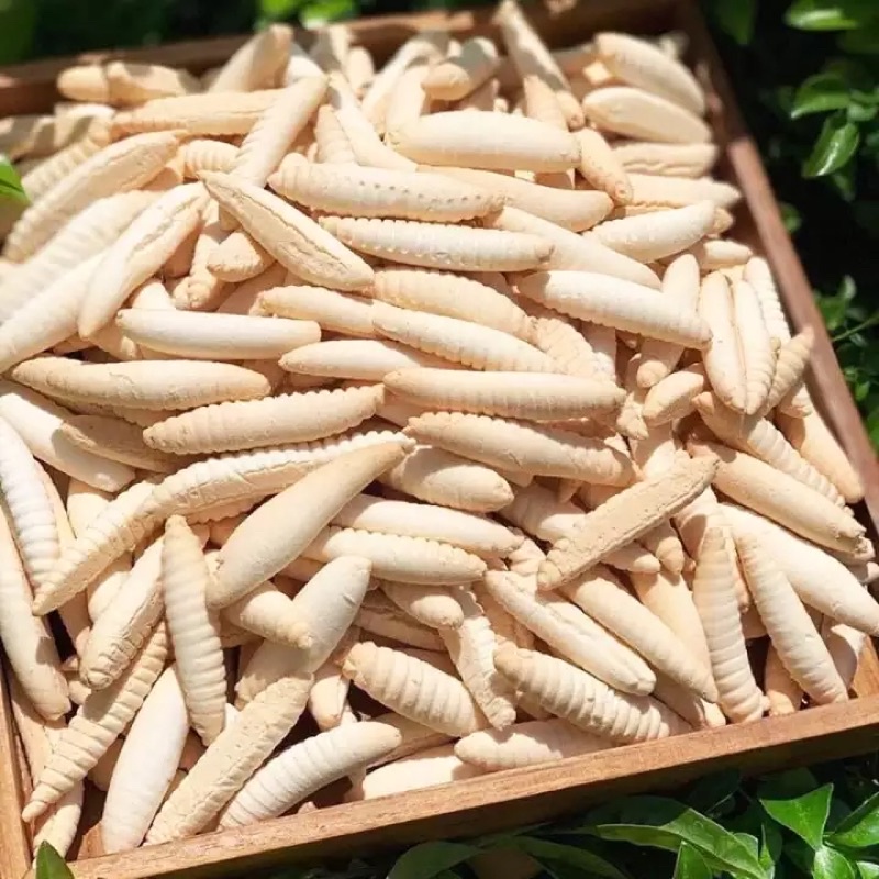 500g bánh con sâu sữa, con đuông dừa sữa thơm béo