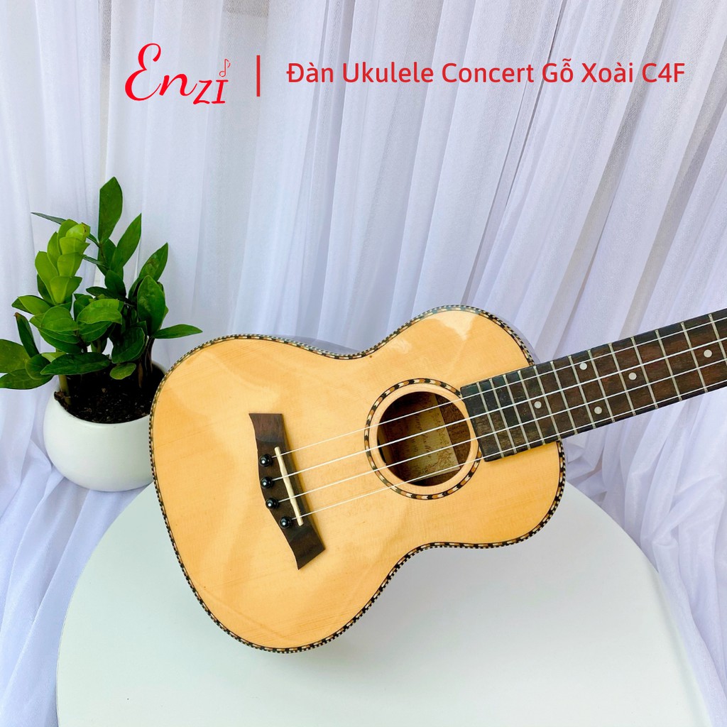 Đàn ukulele concert C20T Enzi 23 inch gỗ mộc họa tiết chú khỉ giá rẻ cho bạn mới bắt đầu tập chơi