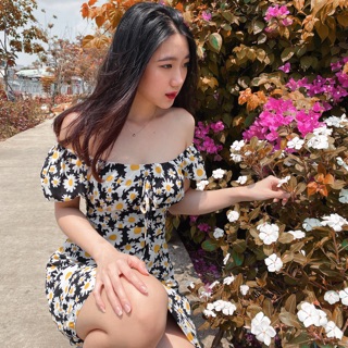 Đầm hoa cúc