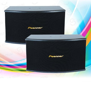 Loa Karaoke Peenner PS-299