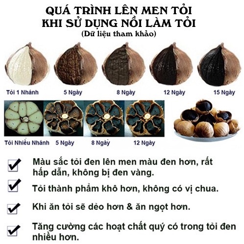 Nồi làm tỏi đen Gali GL-1999 90W 5L