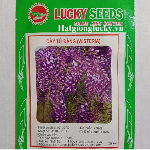 Hạt Giống Hoa Tử Đằng - LUCKY SEED . Mỗi Túi 3 Hạt