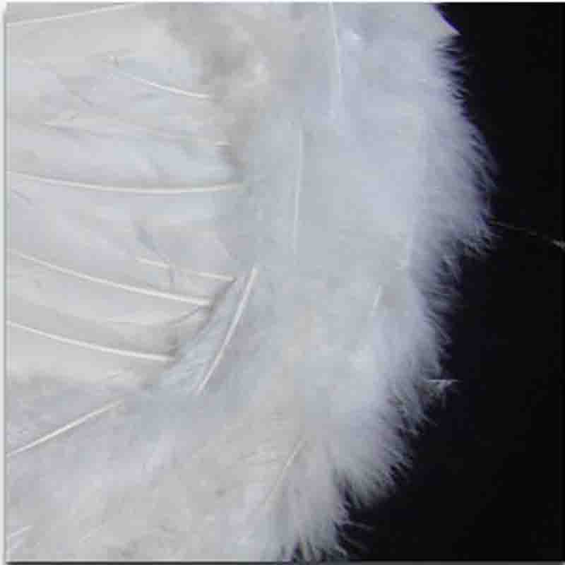 Cánh hóa trang thiên thần dịp Halloween