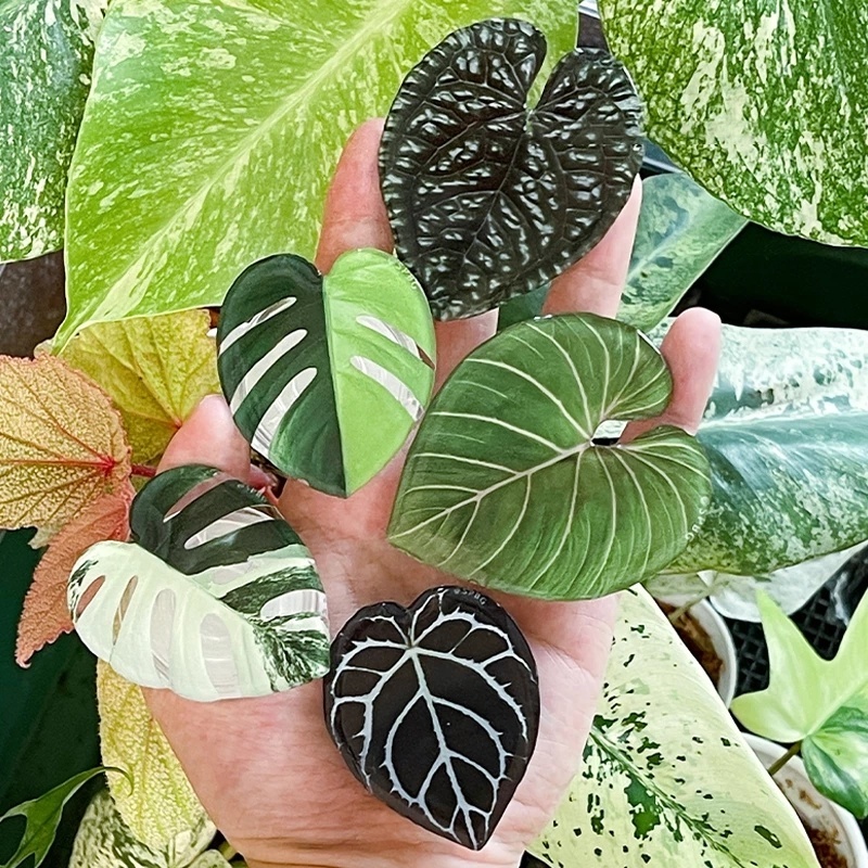 Giá Đỡ Điện Thoại Hình Chiếc Lá Sáng Tạo