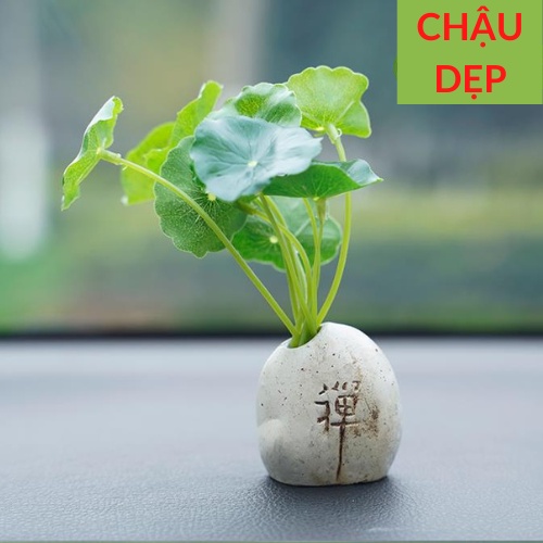 Chậu Lá Sen Giả Trang Trí