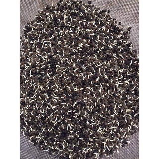 200g hạt sâm bố chính