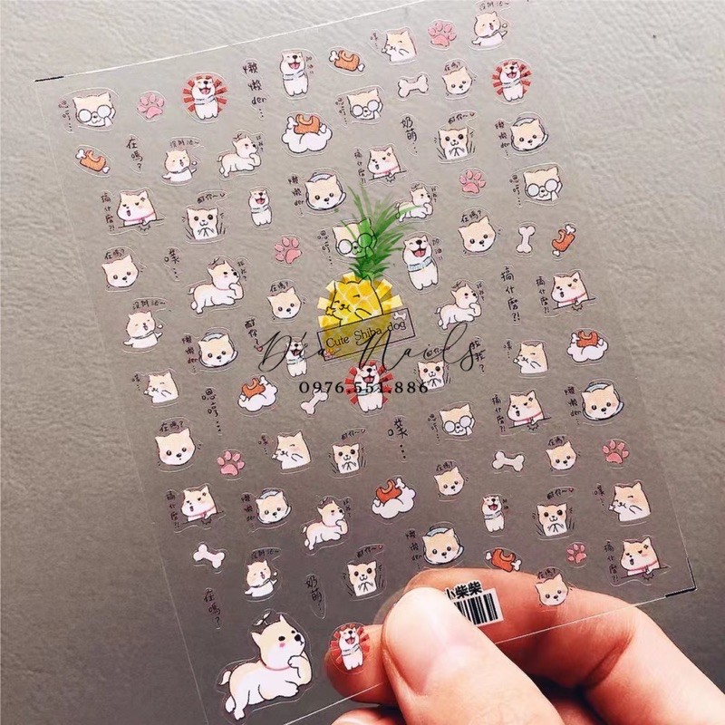 Album stick cao cấp 6