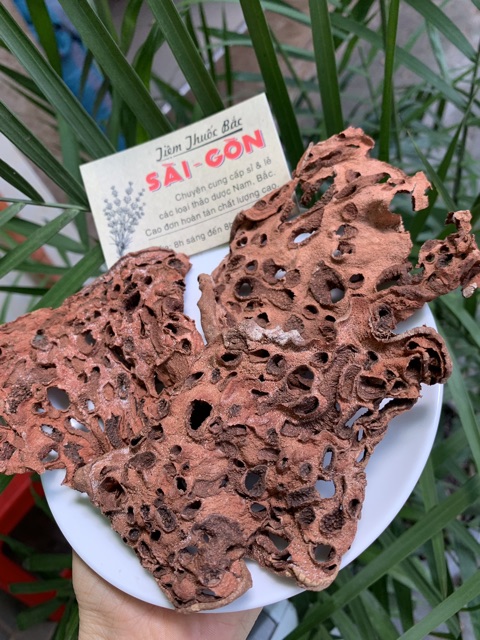 Cây Bí Kỳ Nam Khô 500g