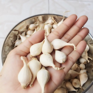 Tỏi cô đơn Lý Sơn (100gr~)