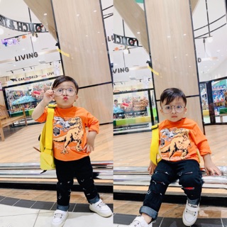 Sỉ áo tay dài khủng long