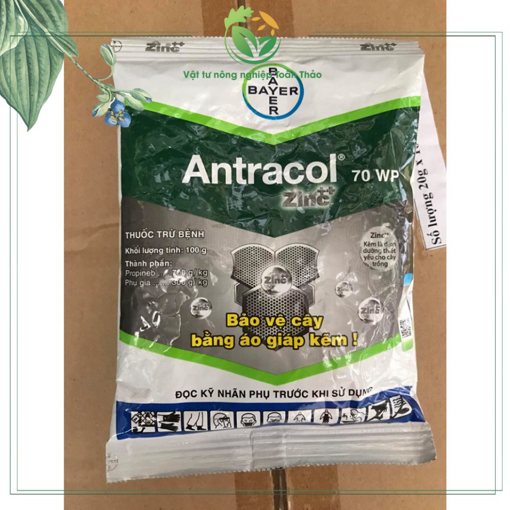 Thuốc trừ nấm bệnh thán thư, đốm lá, thối nhũng, vàng lá trên hoa hồng, hoa lan, cây cảnh Antracol 70WP