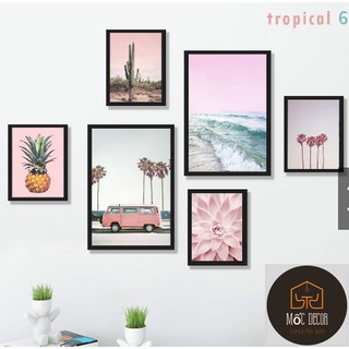 SET 6 TRANH TREO TƯỜNG TROPICAL ĐÃ CÓ KHUNG