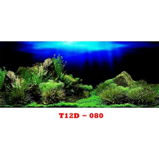 Tranh 3D bể cá ( 60,80,90,100,120,150,160 )