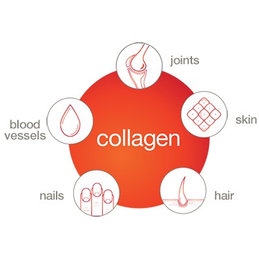Viên Uống Collagen YOUTHEORY Advanced Formula Type 1 2 &amp; 3 Hair Skin Nails