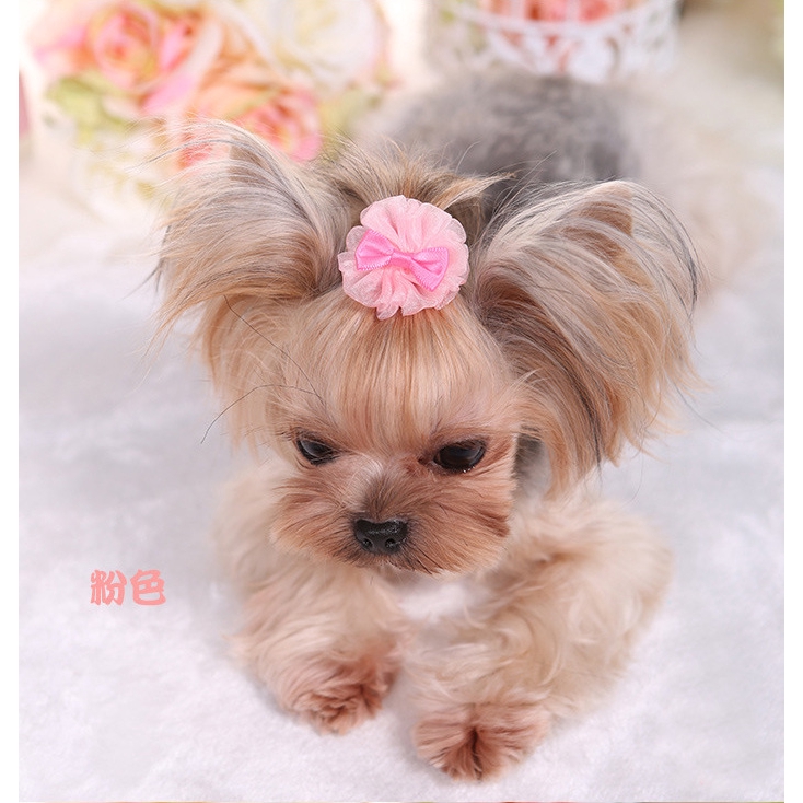Kẹp Nơ Dễ Thương Thời Trang Cho Thú Cưng