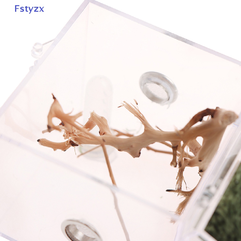 Fstyzx Hộp Nuôi Bò Sát / Côn Trùng Nhỏ Trong Suốt