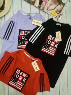 COMPO 10c 350k