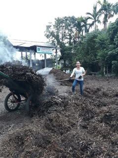 Tinh dầu tràm Linh Đan