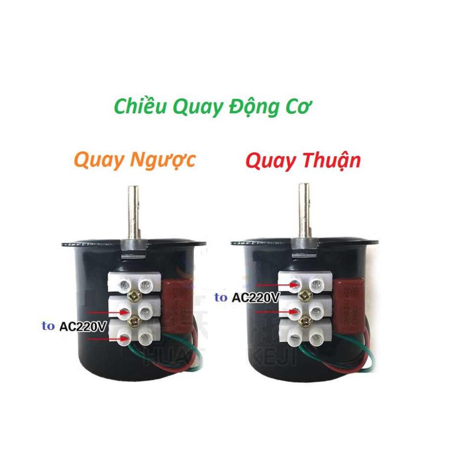 Mô Tơ 220V 14W 5RPM 10RPM 15RPM 20RPM 30RPM 60KTYZ Motor 220V Động Cơ 220V Giảm Tốc 220V Quay Gà Vịt