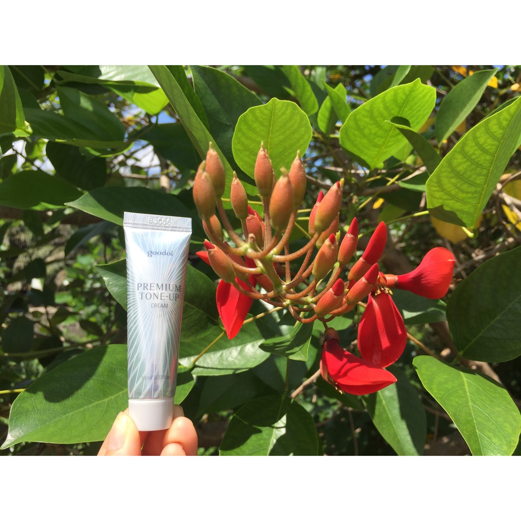 Kem Ốc sên mini Goodal Premium Snail Tone
