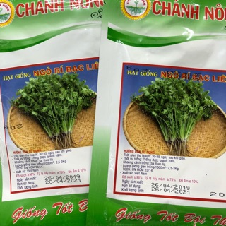 Hạt giống Ngò Rí (Rau Mùi)