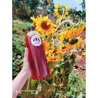 Combo 5 lít Mật ong nguyên chất