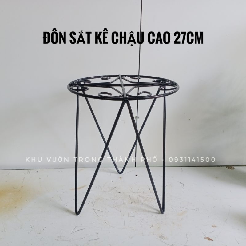 Đôn sắt kê chậu cao 27cm