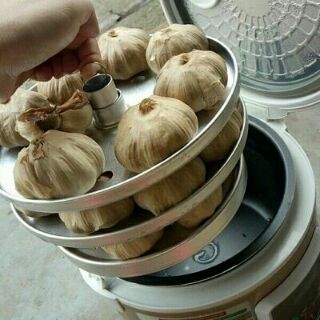 Nồi ủ tỏi đen