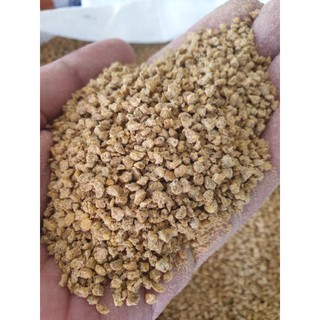 500G CÁM C225 GÀ CON