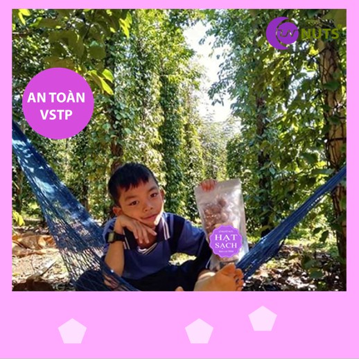 Hạt Macca 3kg loại 1 (Macadamia) Đắc Lắc hàng đại trà