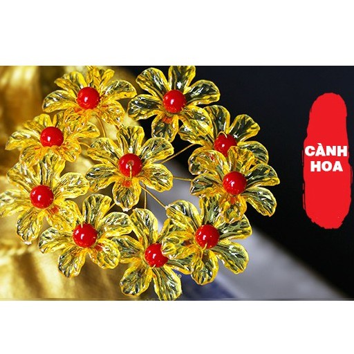 Cây kim tiền phát tài, phát lộc đế túi tiền 7 cành trang trí trong nhà ngày tết hàng đẹp