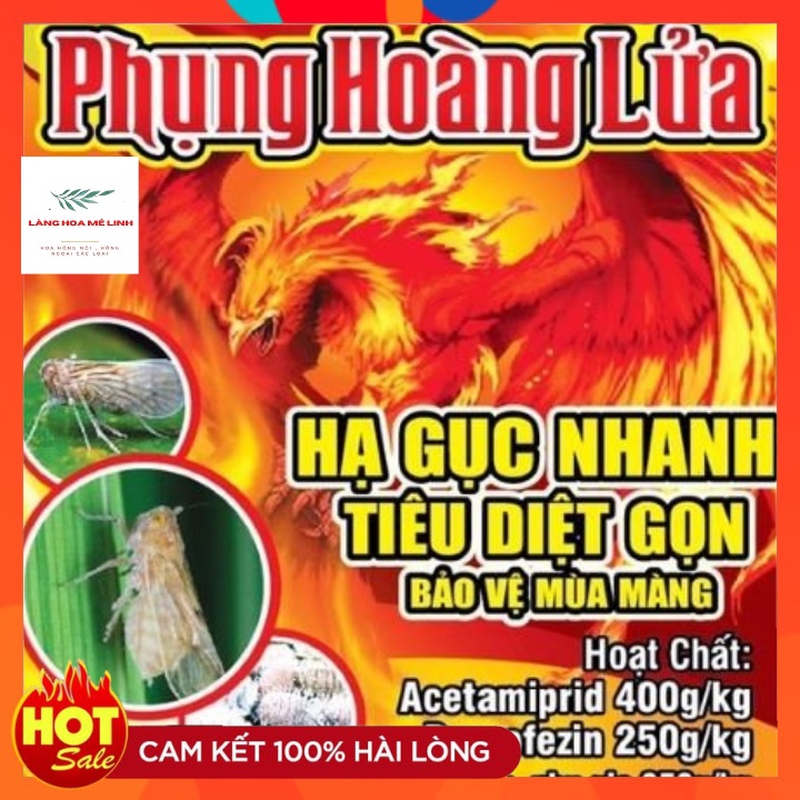 Chế phẩm diệt côn trùng [☀️NGƯỜI BẠN CỦA CÂY HOA HỒNG☀️]