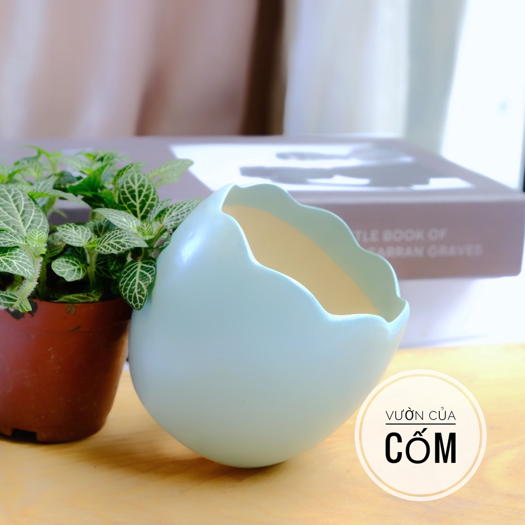 Chậu hình quả trứng  trồng sen đá , xương rồng , cây mini để bàn . Chậu có 4 màu kíck thước xấp xỉ  7 x 7 cm .