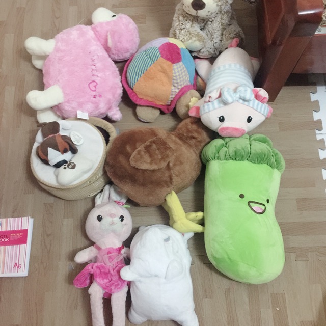 Set gấu chị thanh