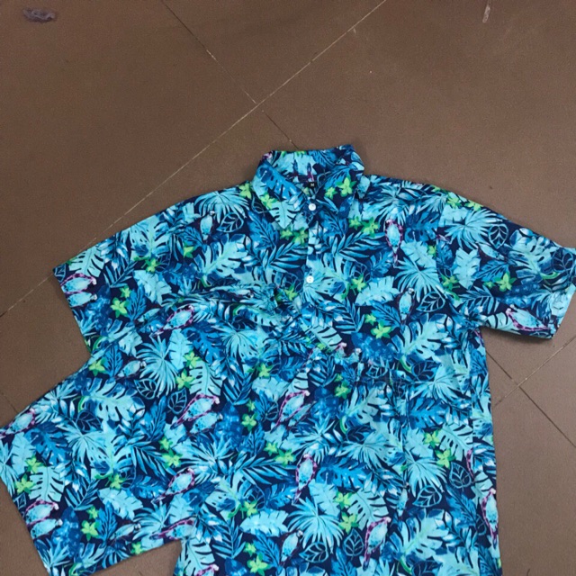 Bộ chim xanh chất katte
