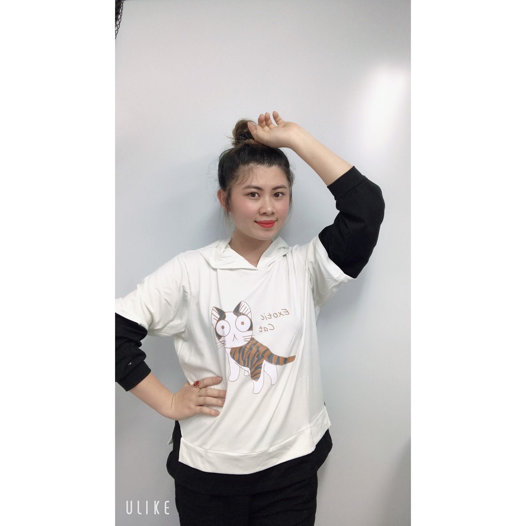 ÁO HOODIE MÈO CHẤT LIỆU COTTON NAM NỮ ĐỀU MẶC ĐƯỢC M1 | BigBuy360 - bigbuy360.vn