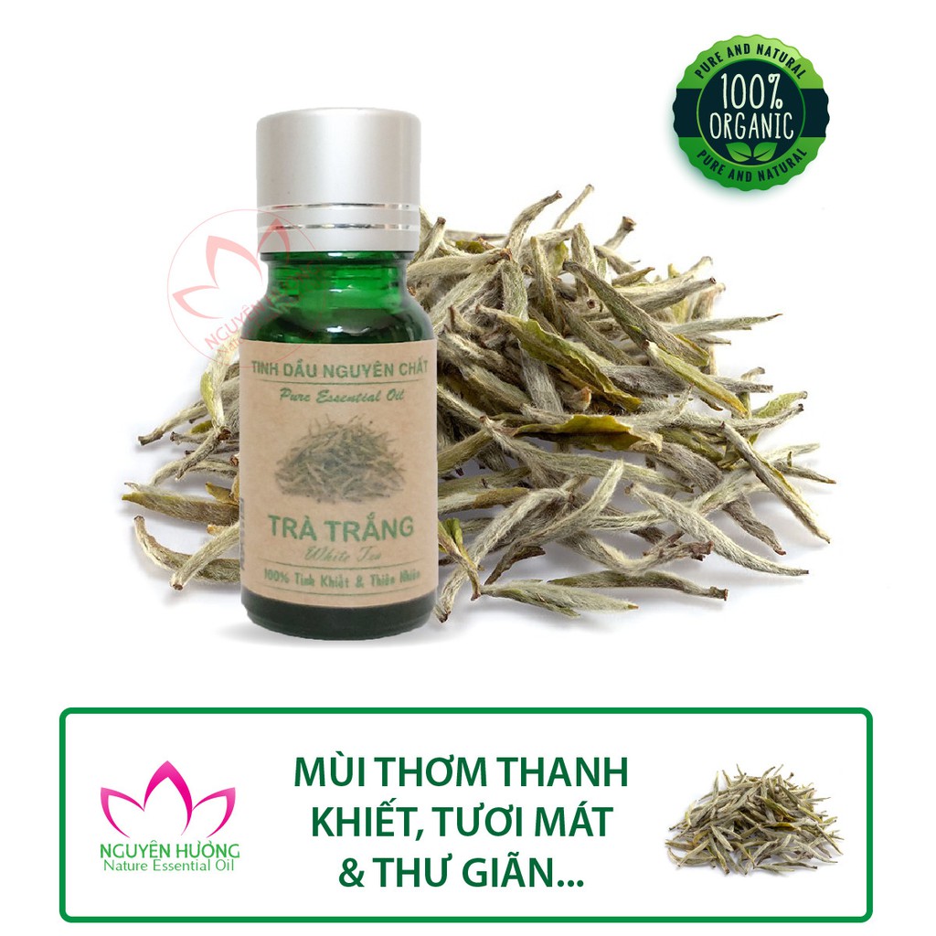 Tinh dầu Trà Trắng Nguyên Chất|Tinh dầu trà trắng cao cấp Nhập Khẩu Ấn Độ|Thương Hiệu Nguyên Hương
