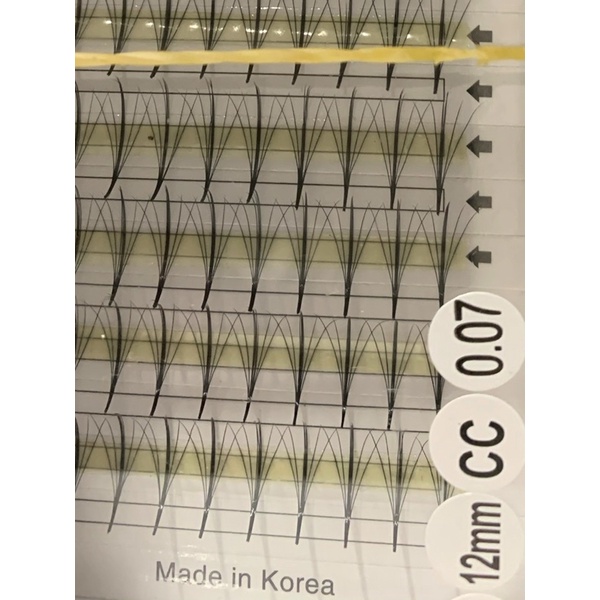 Mi fan katun trụ 5d cong Cc