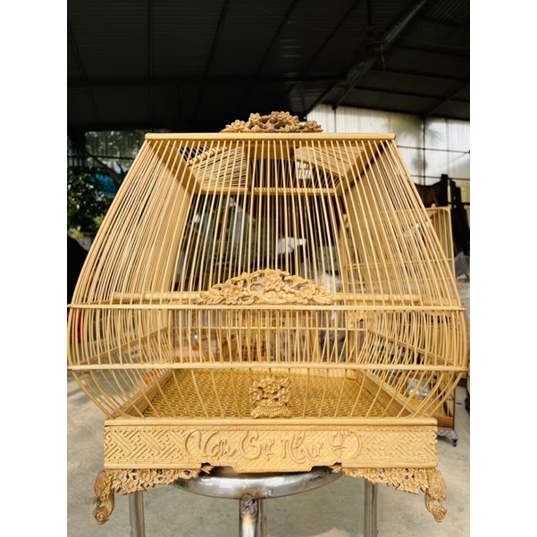 Lông chim chào mào